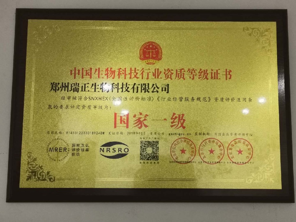 榮譽(yù)證書三